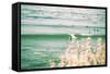 The Surfing Lifestyle on the California Coast-Daniel Kuras-Framed Stretched Canvas