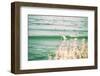 The Surfing Lifestyle on the California Coast-Daniel Kuras-Framed Photographic Print