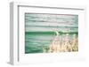 The Surfing Lifestyle on the California Coast-Daniel Kuras-Framed Photographic Print