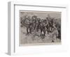 The Surrender at Paardeberg, Marshalling the Prisoners-Frank Craig-Framed Giclee Print