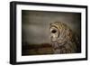 The Surveyor-Jai Johnson-Framed Giclee Print