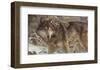 The Survivor-Kalon Baughan-Framed Art Print