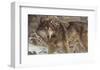 The Survivor-Kalon Baughan-Framed Art Print