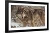 The Survivor-Kalon Baughan-Framed Art Print