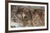 The Survivor-Kalon Baughan-Framed Art Print