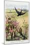 The Swallow and the Little Birds, La Fontaine's Fables-Gustave Fraipont-Mounted Art Print