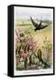 The Swallow and the Little Birds, La Fontaine's Fables-Gustave Fraipont-Framed Stretched Canvas