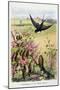The Swallow and the Little Birds, La Fontaine's Fables-Gustave Fraipont-Mounted Art Print