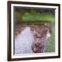 The Swamp, 1900-Gustav Klimt-Framed Giclee Print