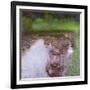 The Swamp, 1900-Gustav Klimt-Framed Giclee Print