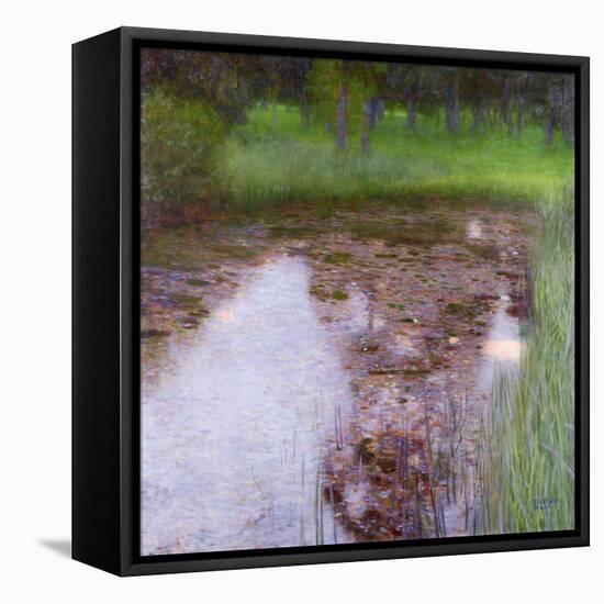 The Swamp, 1900-Gustav Klimt-Framed Stretched Canvas