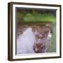 The Swamp, 1900-Gustav Klimt-Framed Giclee Print