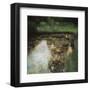 The Swamp-Gustav Klimt-Framed Giclee Print