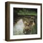 The Swamp-Gustav Klimt-Framed Giclee Print