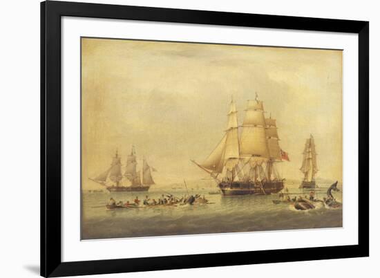 The 'Swan' and 'Isabella' Whaling in the Arctic-John of Hull Ward-Framed Giclee Print