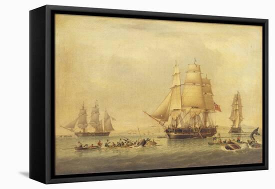 The 'Swan' and 'Isabella' Whaling in the Arctic-John of Hull Ward-Framed Stretched Canvas