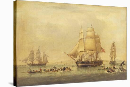 The 'Swan' and 'Isabella' Whaling in the Arctic-John of Hull Ward-Stretched Canvas