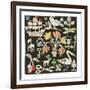 The Swan And The Thistle, 2021 (collage on printed square)-Sarah Battle-Framed Giclee Print