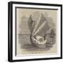 The Swan of the Exe-null-Framed Giclee Print