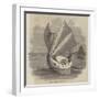 The Swan of the Exe-null-Framed Giclee Print