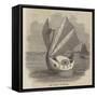 The Swan of the Exe-null-Framed Stretched Canvas