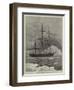 The Swedish Arctic Exploring Ship Vega Among Icebergs-Walter William May-Framed Giclee Print