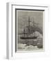 The Swedish Arctic Exploring Ship Vega Among Icebergs-Walter William May-Framed Giclee Print