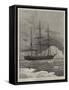 The Swedish Arctic Exploring Ship Vega Among Icebergs-Walter William May-Framed Stretched Canvas