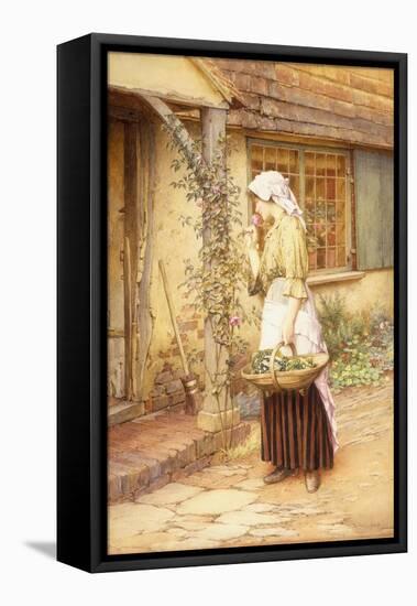 The Sweetest Rose-Charles Edward Wilson-Framed Stretched Canvas