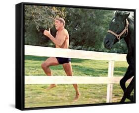 The Swimmer-null-Framed Stretched Canvas