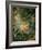 The Swing-Jean-Honor? Fragonard-Framed Giclee Print