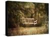 The Swing-Jai Johnson-Stretched Canvas