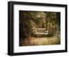 The Swing-Jai Johnson-Framed Premium Giclee Print