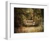 The Swing-Jai Johnson-Framed Premium Giclee Print