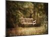 The Swing-Jai Johnson-Mounted Premium Giclee Print