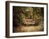 The Swing-Jai Johnson-Framed Giclee Print