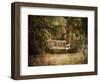 The Swing-Jai Johnson-Framed Giclee Print