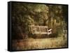 The Swing-Jai Johnson-Framed Stretched Canvas