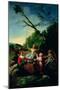 The Swing-Francisco de Goya-Mounted Giclee Print