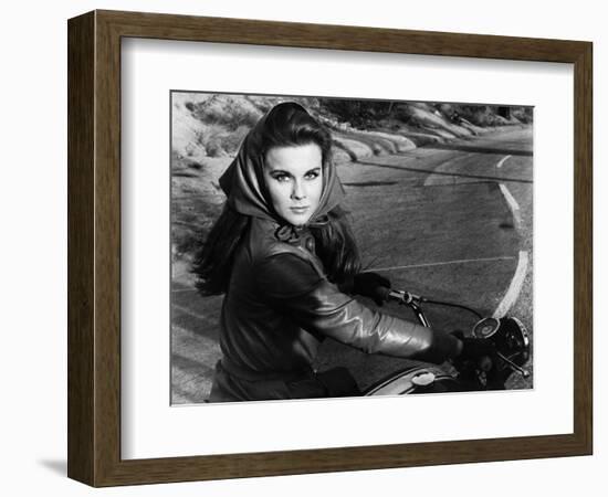 The Swinger, 1966-null-Framed Photographic Print