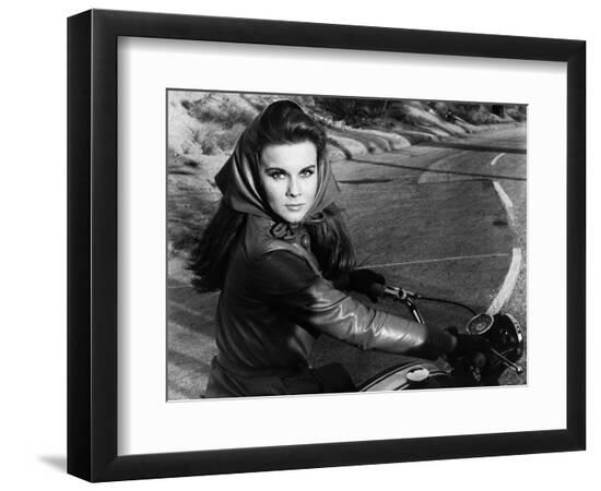 Premium Photographic Print, , large