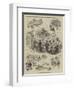 The Swiss Gardens, Shoreham, Near Brighton-John Jellicoe-Framed Giclee Print