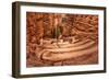 The Switchbacks-Danny Head-Framed Photographic Print