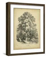 The Sycamore-George Barnard-Framed Art Print