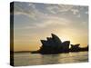 The Sydney Opera House in the Evening, Sydney, New South Wales, Australia-Adina Tovy-Stretched Canvas