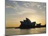 The Sydney Opera House in the Evening, Sydney, New South Wales, Australia-Adina Tovy-Mounted Photographic Print