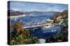 The Sydney Split, 1995-Ted Blackall-Stretched Canvas