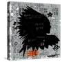 The Symbolic Image of the American Indian-Dmitriip-Stretched Canvas