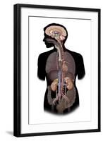 The Sympathetic Nervous System and the Organs of Fight-Or-Flight Response-null-Framed Art Print