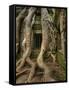 The Ta Prohm Temple Located at Angkor in Cambodia-Kyle Hammons-Framed Stretched Canvas